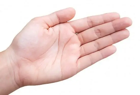Tướng Tay Của Phụ Nữ Tướng Tay Của Phụ Nữ