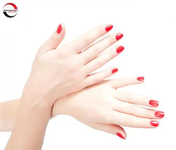 Tướng Tay Của Phụ Nữ Tướng Tay Của Phụ Nữ