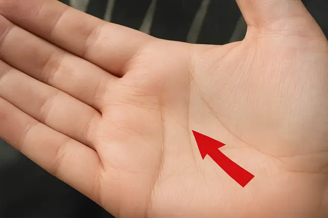 Tướng Tay Đặc Biệt Của Người Giàu Sang