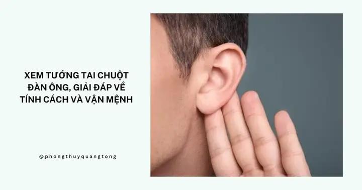 Tướng Tay Đàn Ông