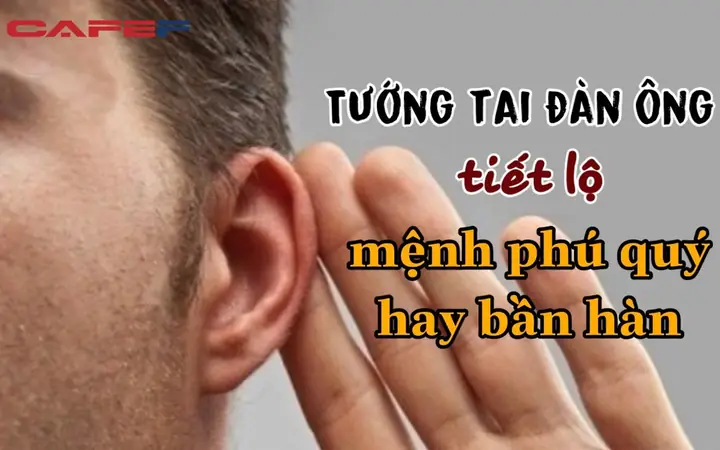 Tướng Tay Đàn Ông
