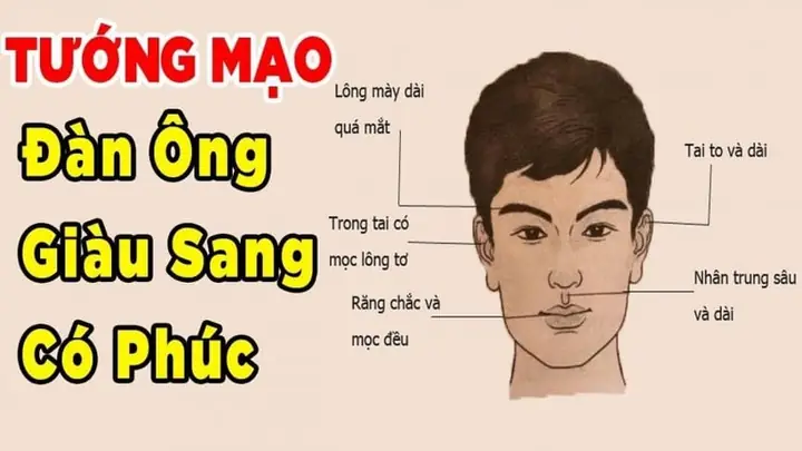 Tướng Tay Đàn Ông Giàu Có