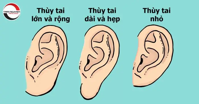 Tướng Tay Đàn Ông Giàu Có