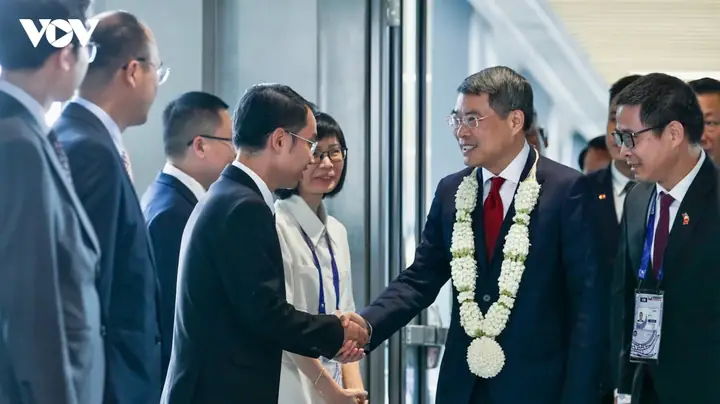 Tướng Tay Hình Hoa Lan Tướng Tay Hình Hoa Lan