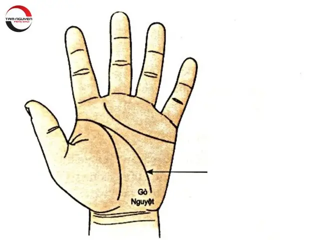 Tướng Tay Hợp Kinh Doanh
