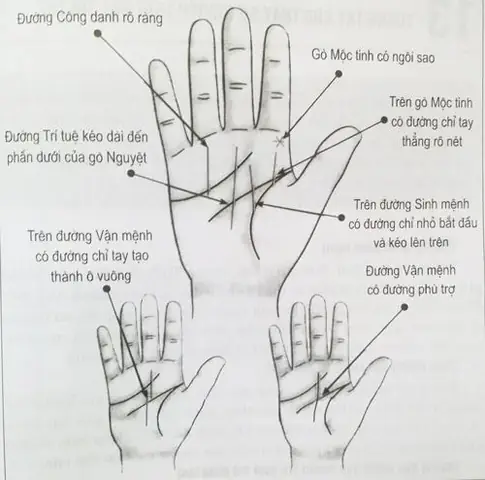 Tướng Tay Người Thành Công