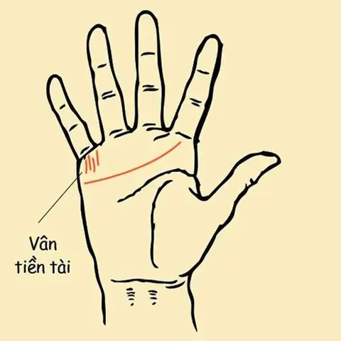 Tướng Tay Phụ Nữ