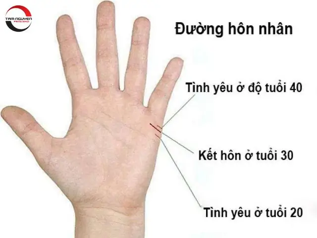 Tướng Tay Phụ Nữ