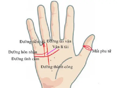 Tướng Tay Phú Quý