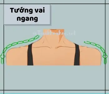 Tướng Vai Đàn Ong