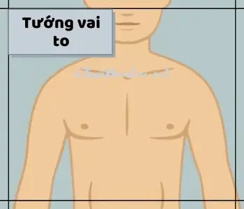 Tướng Vai Đàn Ong