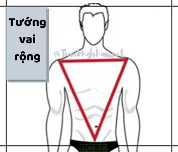 Tướng Vai Đàn Ong