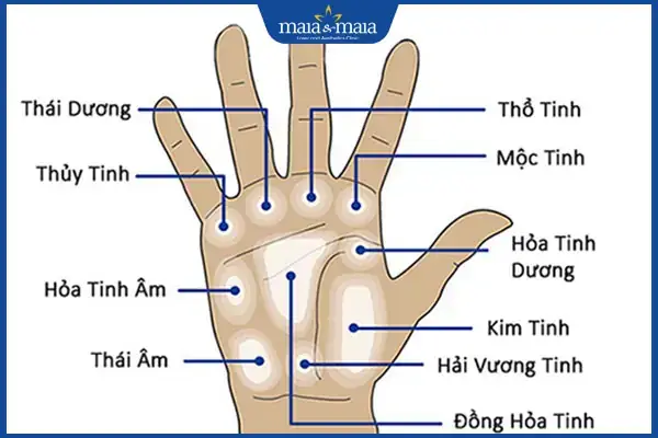 Vị Trí Nốt Ruồi Trong Nhân Tướng Học