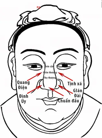 Xem Nhân Tướng Học Ở Đầu