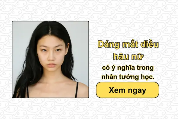 Xem Nhân Tướng Học Online