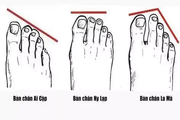 Xem Tướng Bàn Chân Giàu Nghèo
