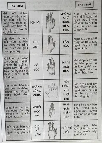 Xem Tướng Bàn Tay Nam