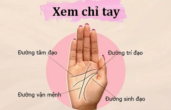 Xem Tướng Bàn Tay Nữ