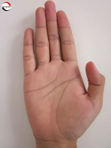 Xem Tướng Bàn Tay Nữ