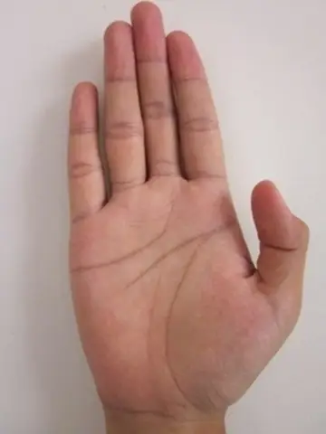 Xem Tướng Bàn Tay Nữ