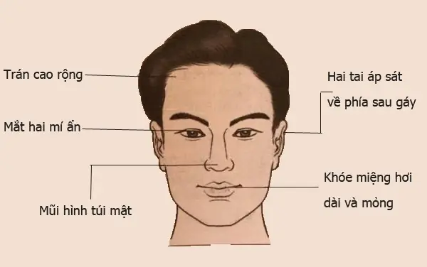 Xem Tướng Cổ Đàn Ông