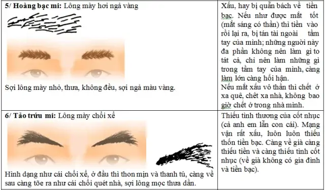 Xem Tướng Lông Mày