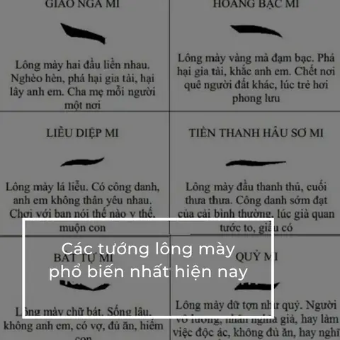 Xem Tướng Lông Mày Xem Tướng Lông Mày