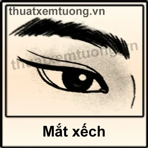 Xem Tướng Mắt Xếch Xem Tướng Mắt Xếch