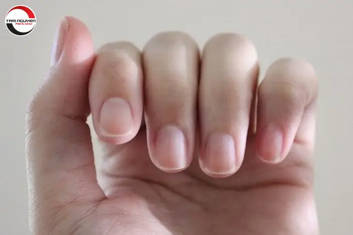 Xem Tướng Móng Tay Đàn Ông