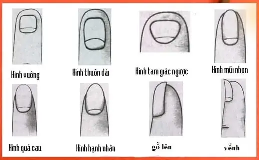 Xem Tướng Móng Tay Đàn Ông