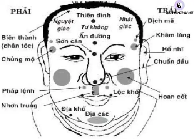 Xem Tướng Số Đầu