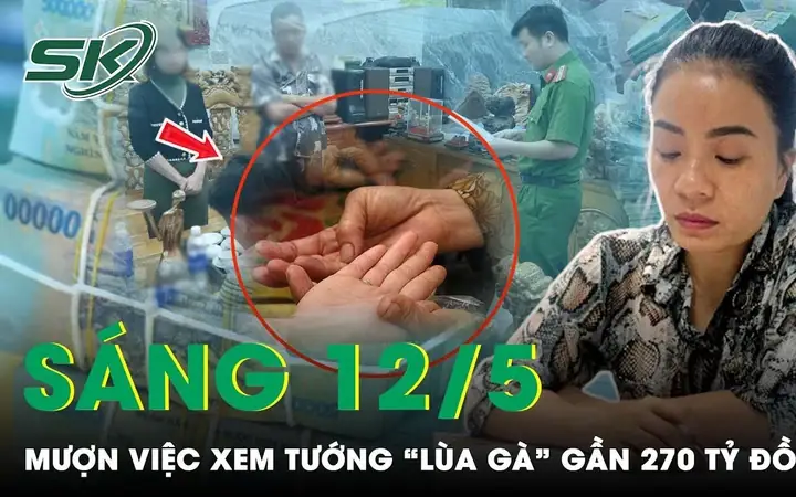 Xem Tướng Số Đầu Xem Tướng Số Đầu