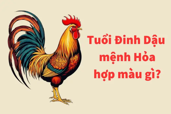 Xem Tướng Số Tuổi Đinh Dậu