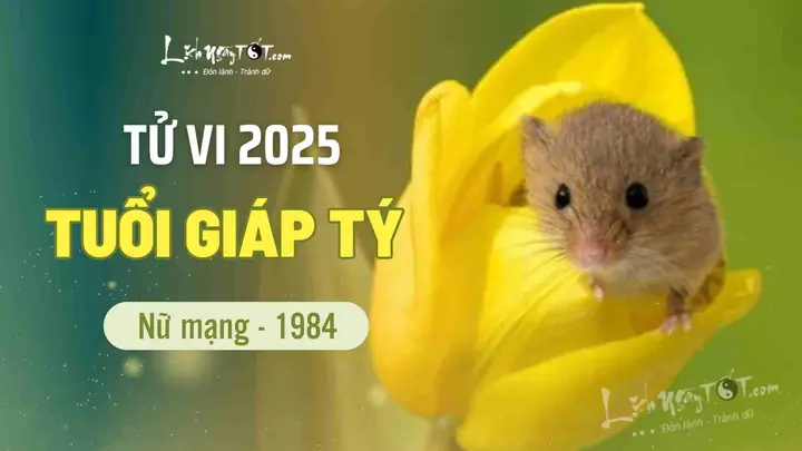 Xem Tướng Số Tuổi Giáp Tý 1984 Nữ Mạng