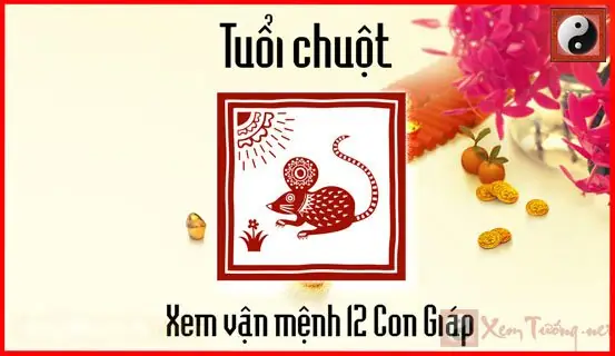 Xem Tướng Số Tuổi Tý