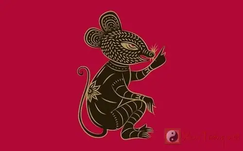 Xem Tướng Số Tuổi Tý