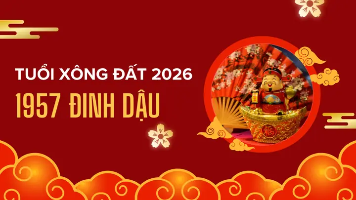 Xem Tướng Số Tuổi Tỵ Năm 2019