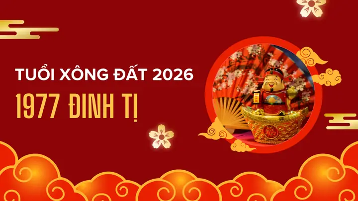 Xem Tướng Số Tuổi Tỵ Năm 2019