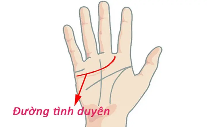 Xem Tướng Tay Con Gái Xem Tướng Tay Con Gái
