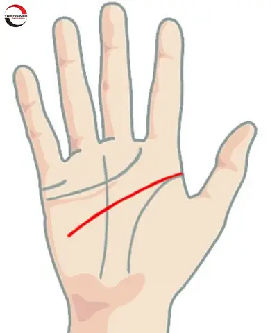 Xem Tướng Tay Của Nữ