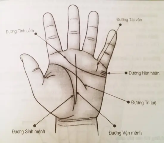 Xem Tướng Tay To Xem Tướng Tay To
