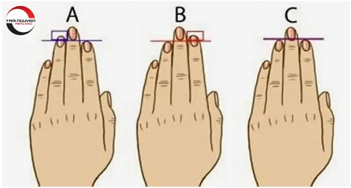 Xem Tướng Tay To