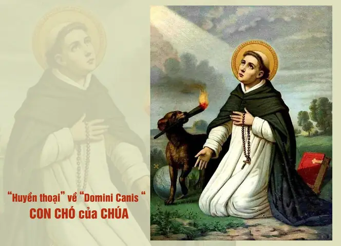 Ý Nghĩa Giấc Mơ Con Chó Của Mẹ Thánh Đaminh Ý Nghĩa Giấc Mơ Con Chó Của Mẹ Thánh Đaminh