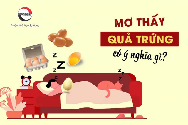 Ý Nghĩa Giấc Mơ Thấy Chim Rớt Trứng